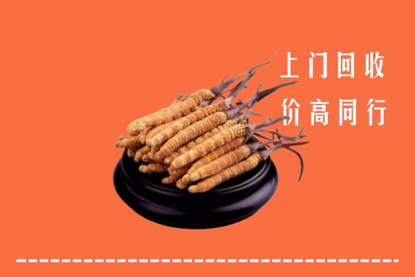 高价求购：双鸭山市友谊回收散虫草