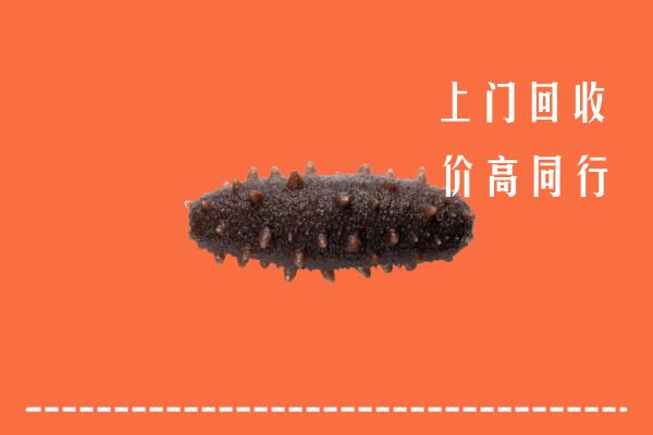 双鸭山市友谊回收海参