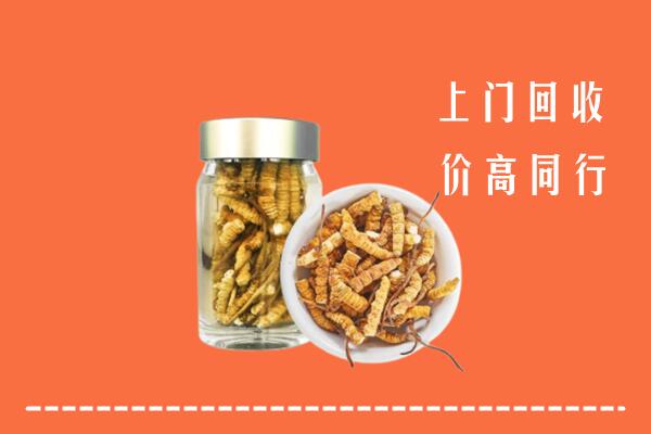 双鸭山市友谊回收冬虫夏草